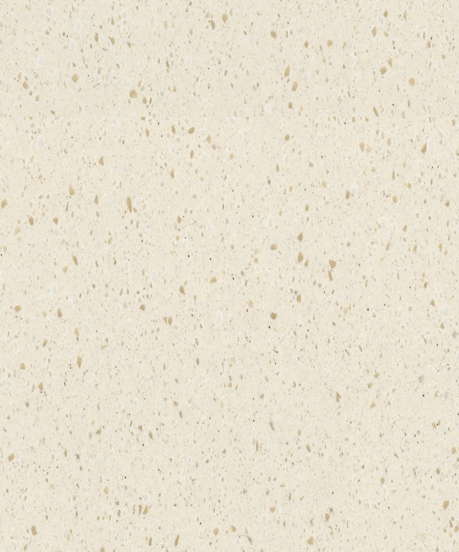 T204